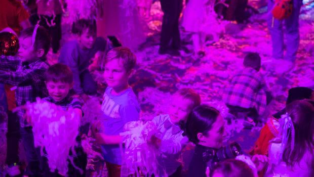 Обложка галереи